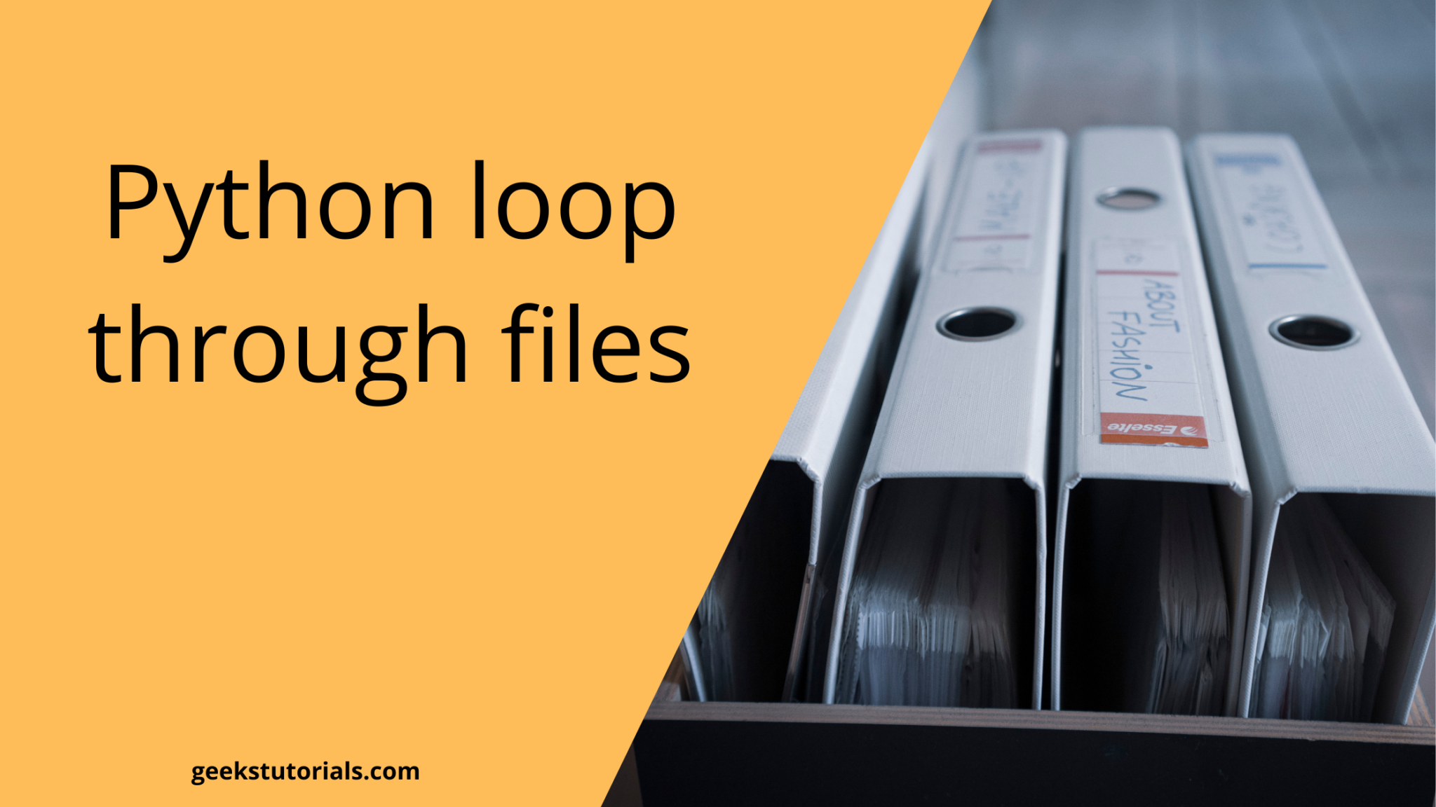 python-loop-through-files-in-directory-geekstutorials